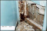 Indoor Air and Environmental Quality